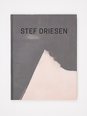 Stef Driesen